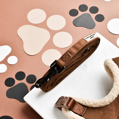 Brown suede dog leash