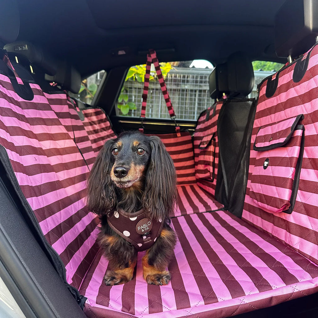 Deluxe Hard Base Hammock Car Seat Cover - Blushing Stripes