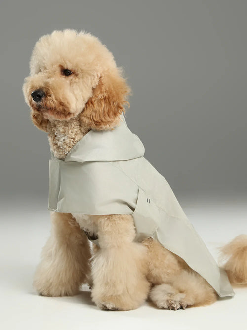 Dog wearing a beige raincoat with hood
