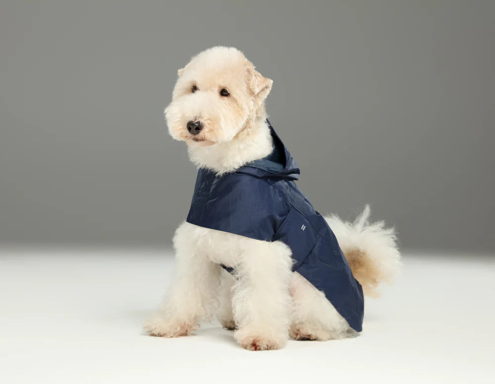 Capsule Raincoat - Blue