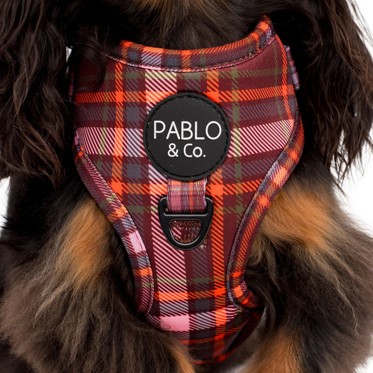 Camilla Adjustable Harness