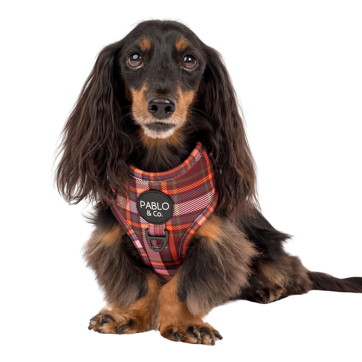 Camilla Adjustable Harness