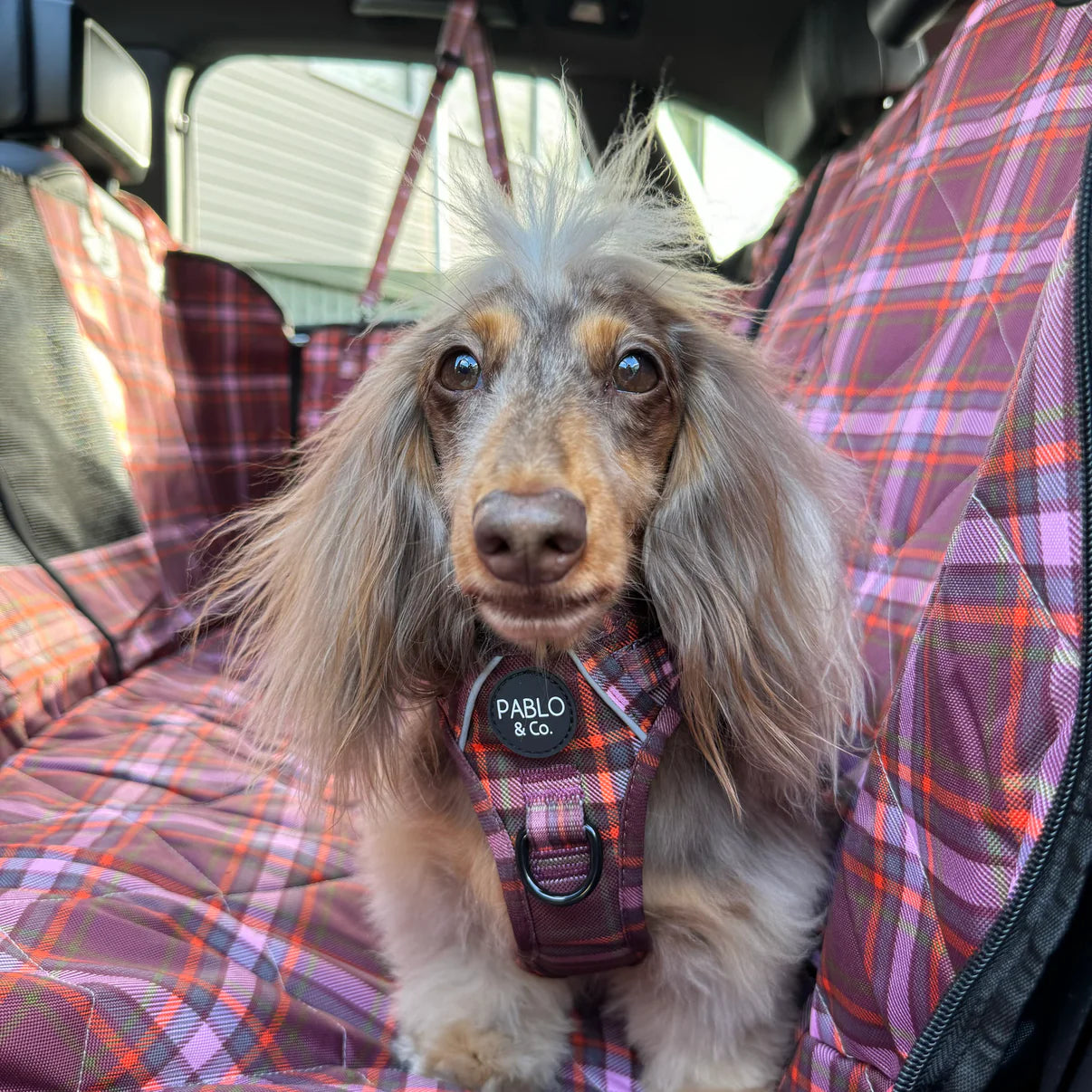 Camilla Deluxe Hammock Car Seat Cover