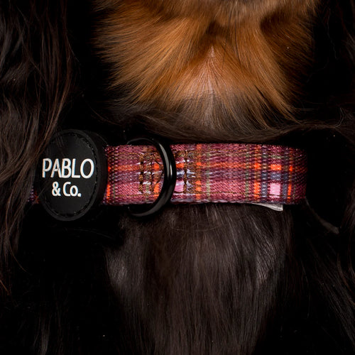 Camilla Dog Collar
