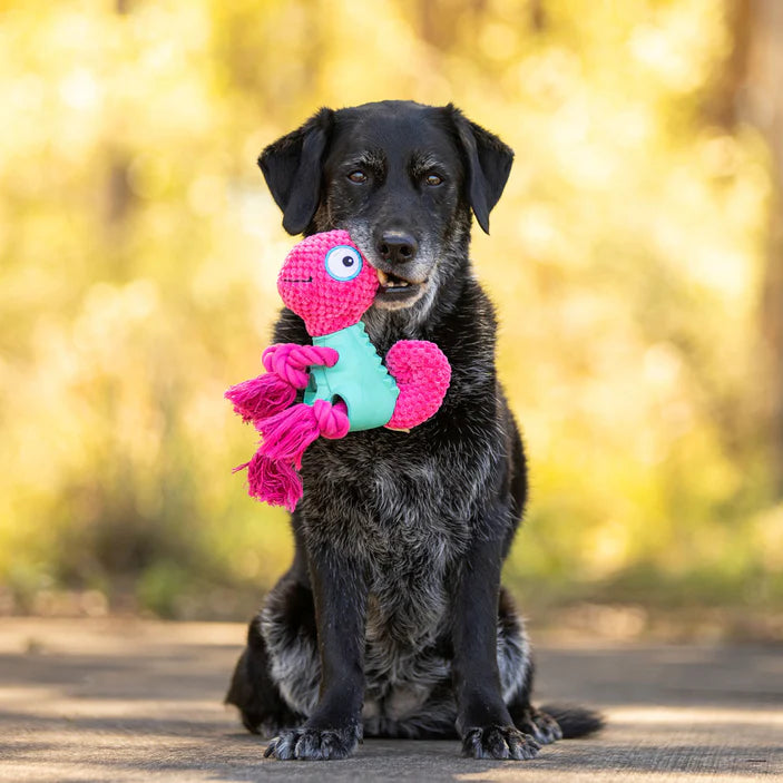 Chameleon 3-in-1 Toy