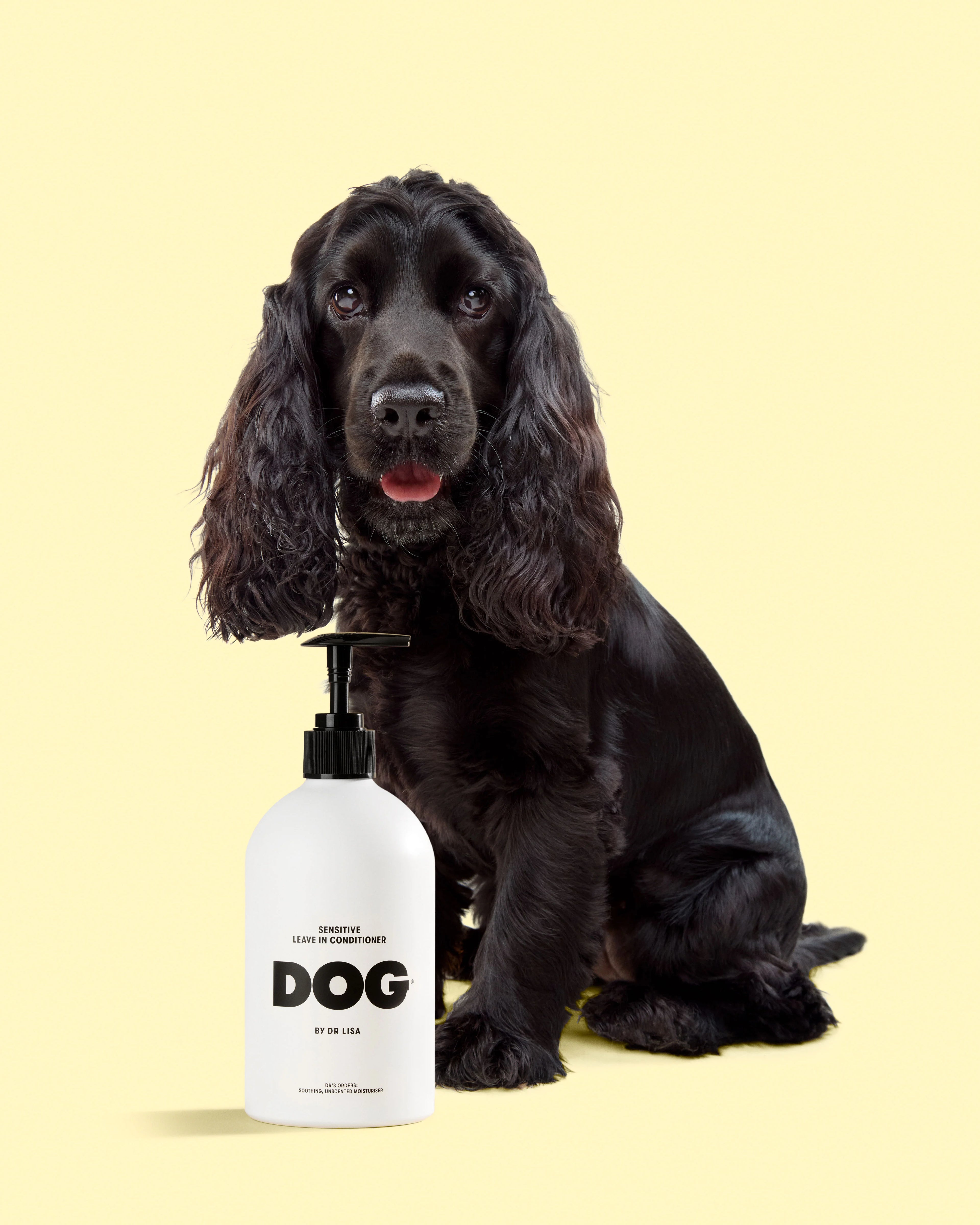 Black dog sitting next to a white bottle labeled 'DOG' conditioner