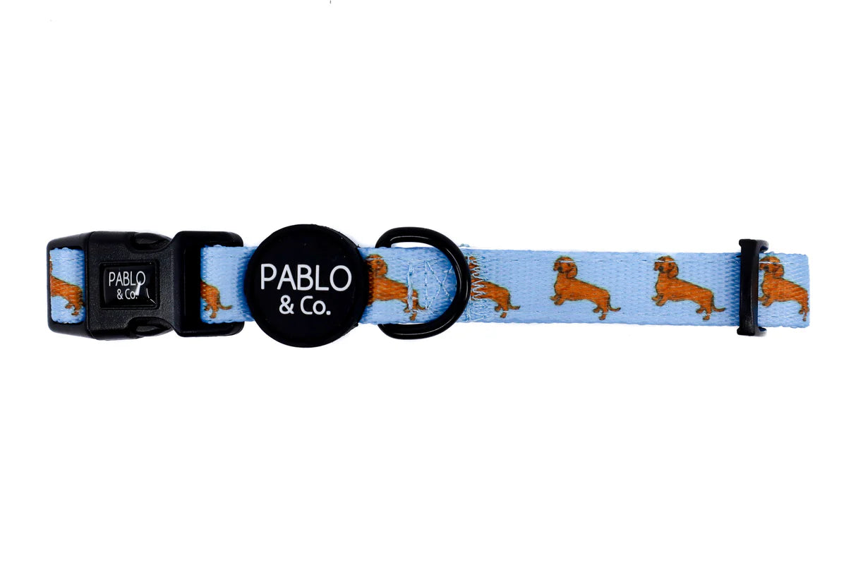 Dachshund Dog Collar