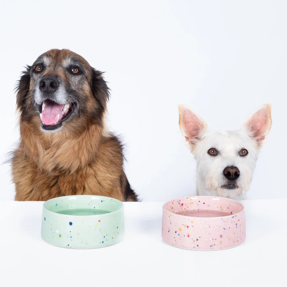 New Party Pet Bowl Set - Pink