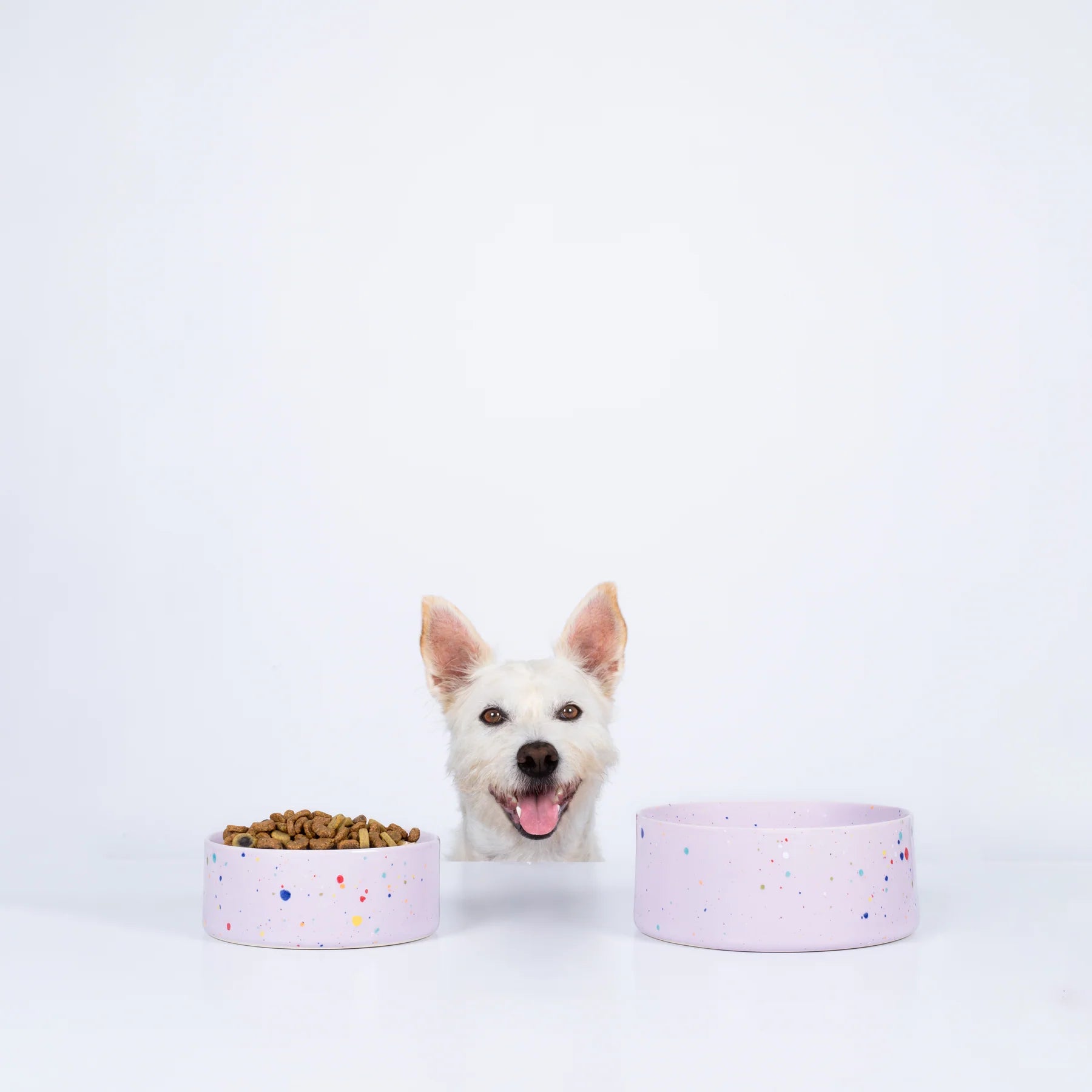 New Party Pet Bowl Set - Lilac