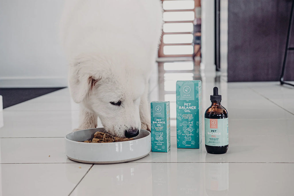 Dog eating from a bowl with Pet Balance products on a white floor.