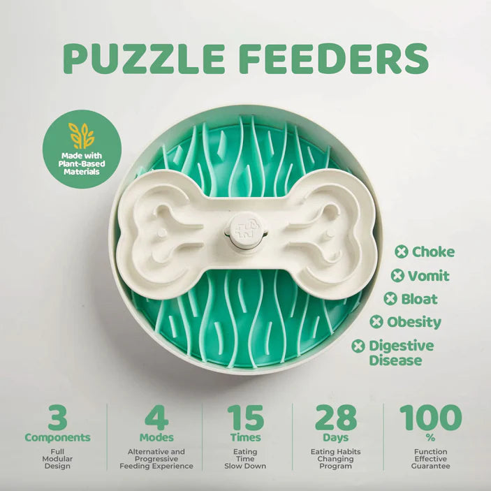 Puzzle Feeder Bowl - Green