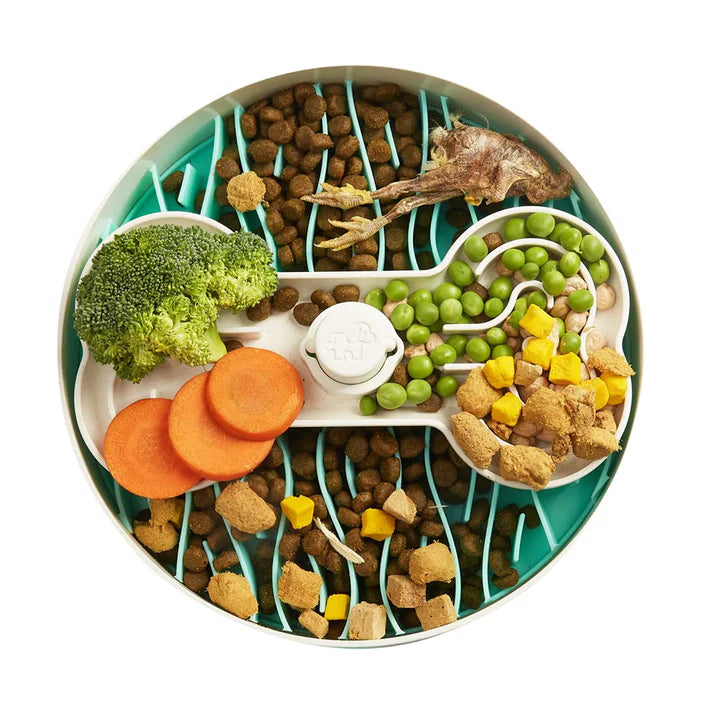 Puzzle Feeder Bowl - Green