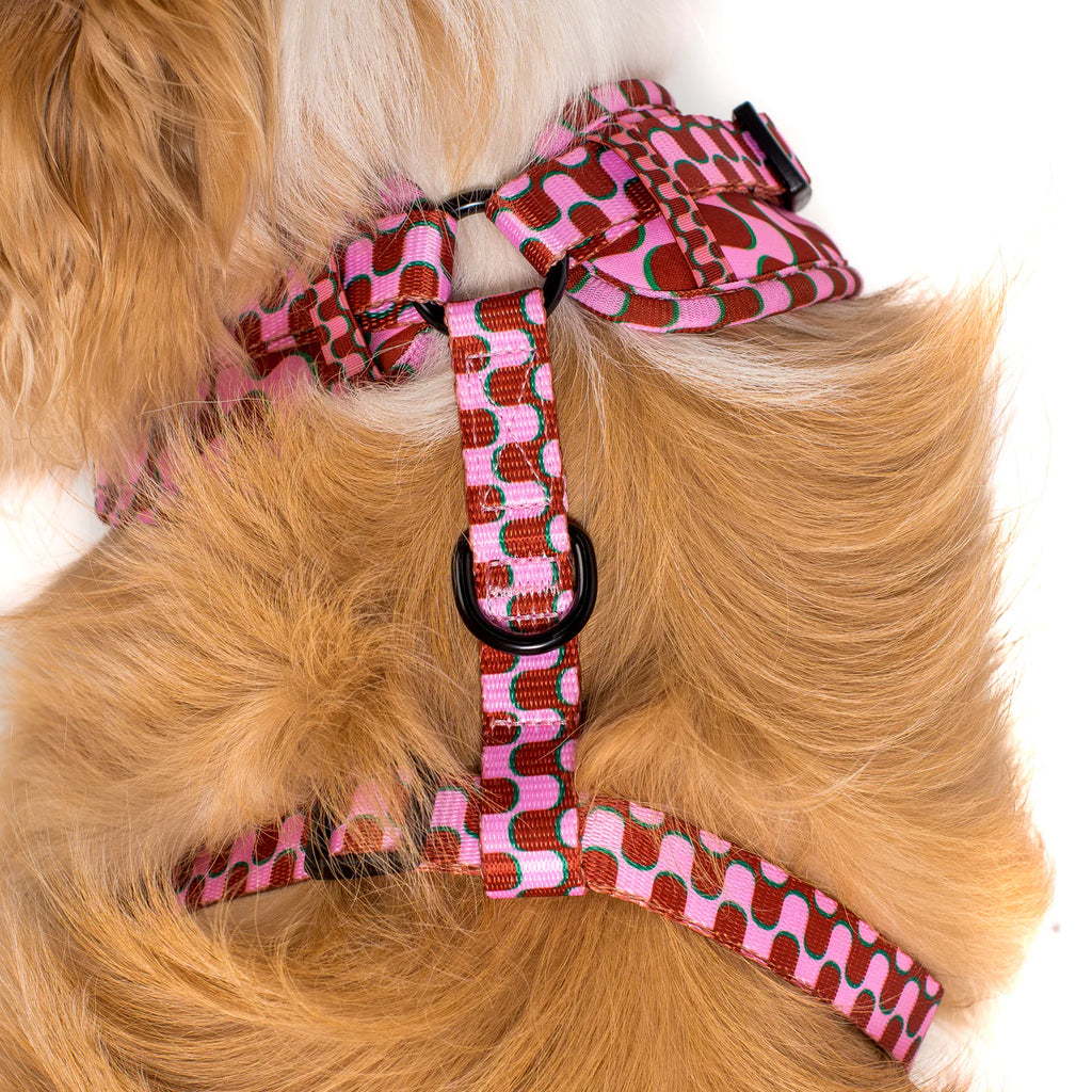 Mod Madness Adjustable Dog Harness