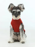 Dog wearing a red knitted sweater vest