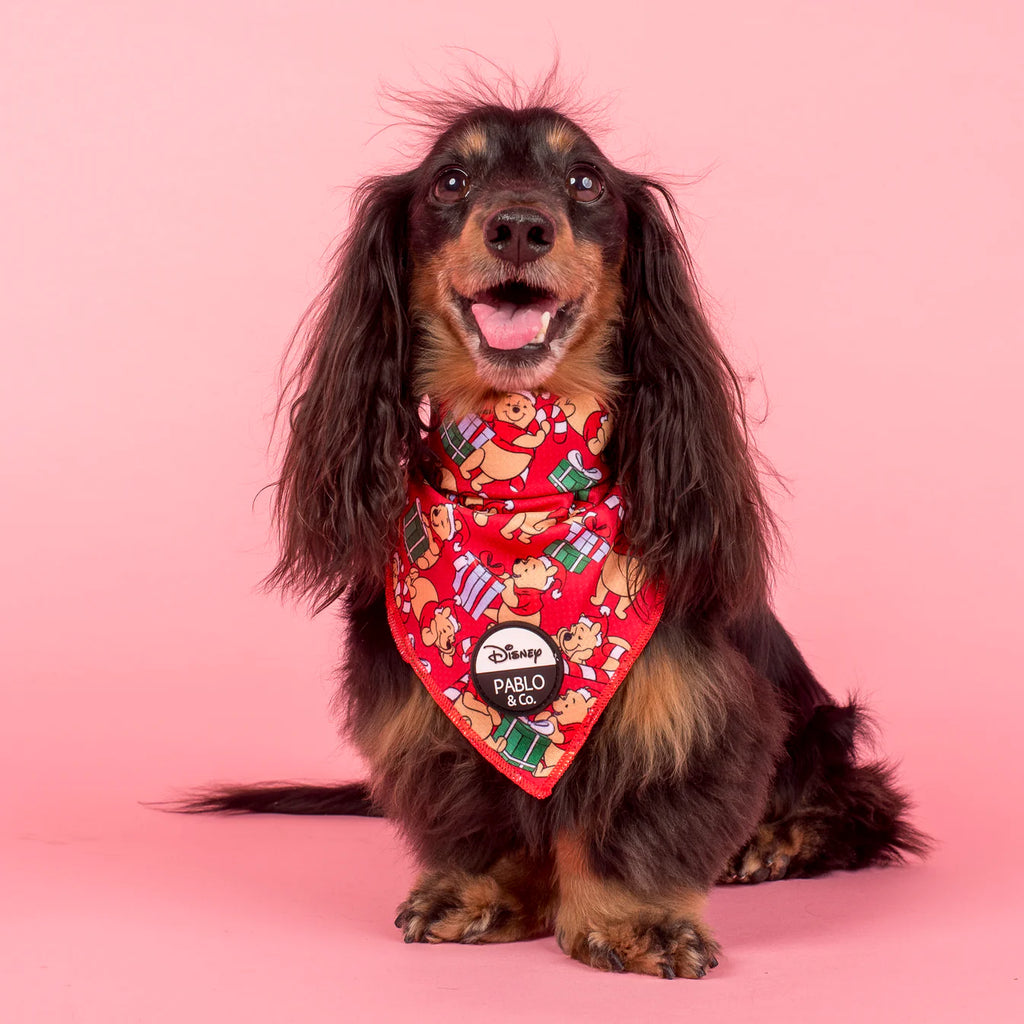 Winnie the Pooh Christmas - Dog Bandana