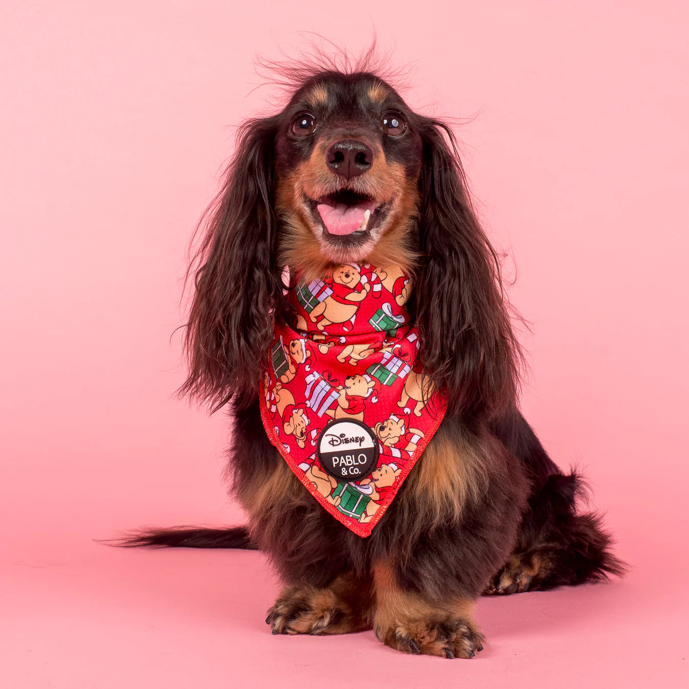 Winnie the Pooh Christmas - Dog Bandana