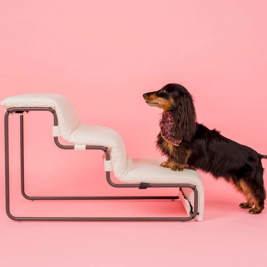 Dog stepping up white boucle pet stairs on a pink background