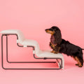 Dog stepping up white boucle pet stairs on a pink background