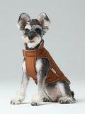 Dog wearing a brown vest jacket, reversible design with velcro straps