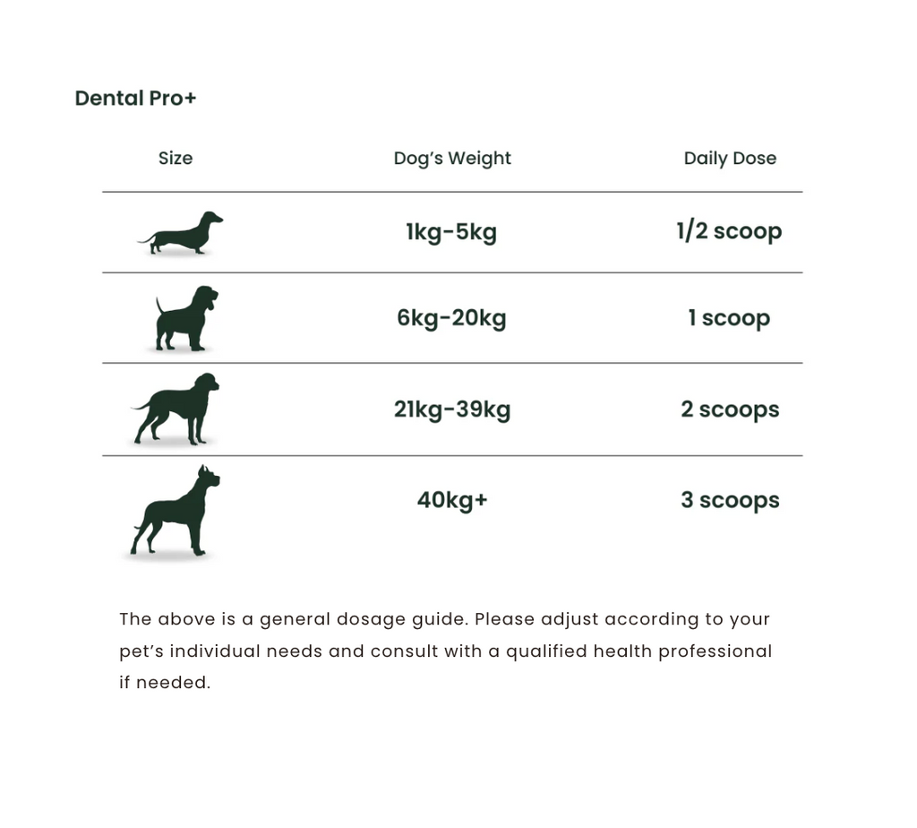 Dental Pro Plus - 60g
