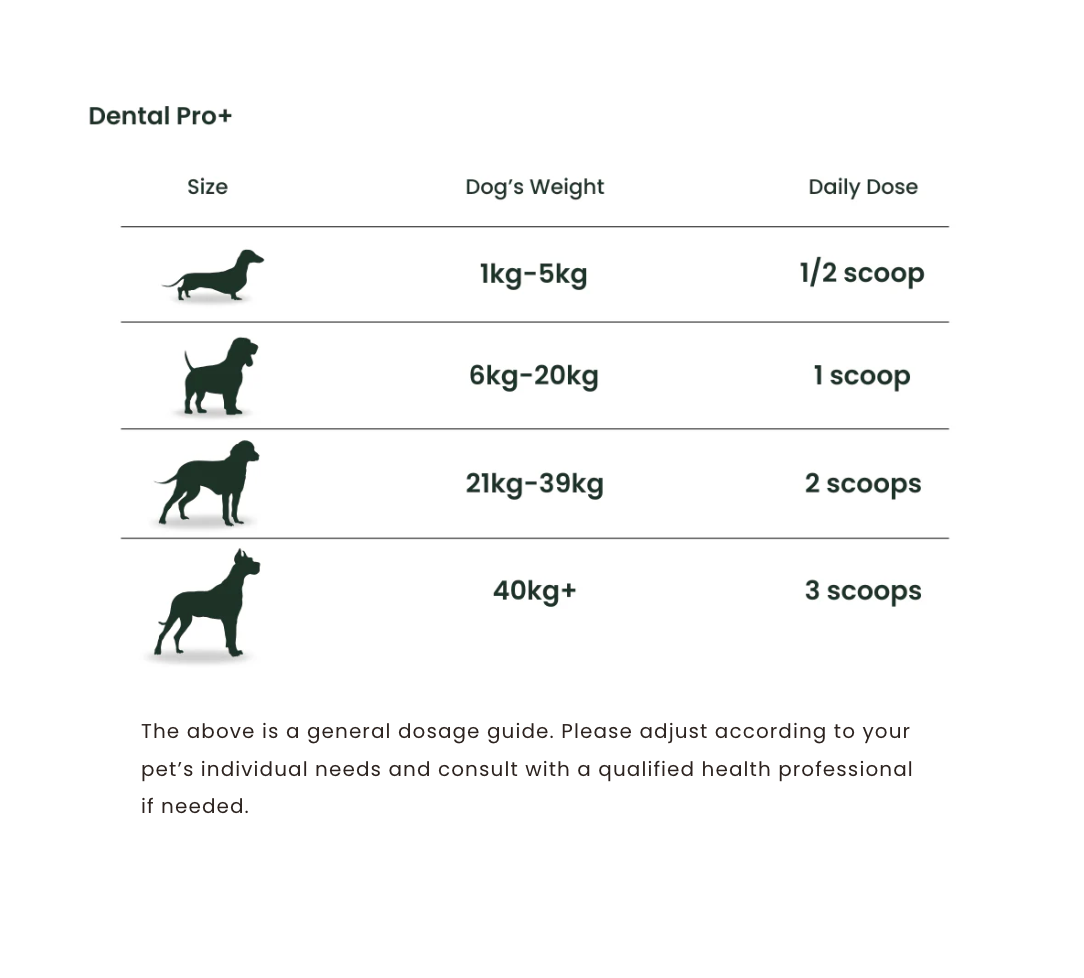 Dental Pro Plus - 60g