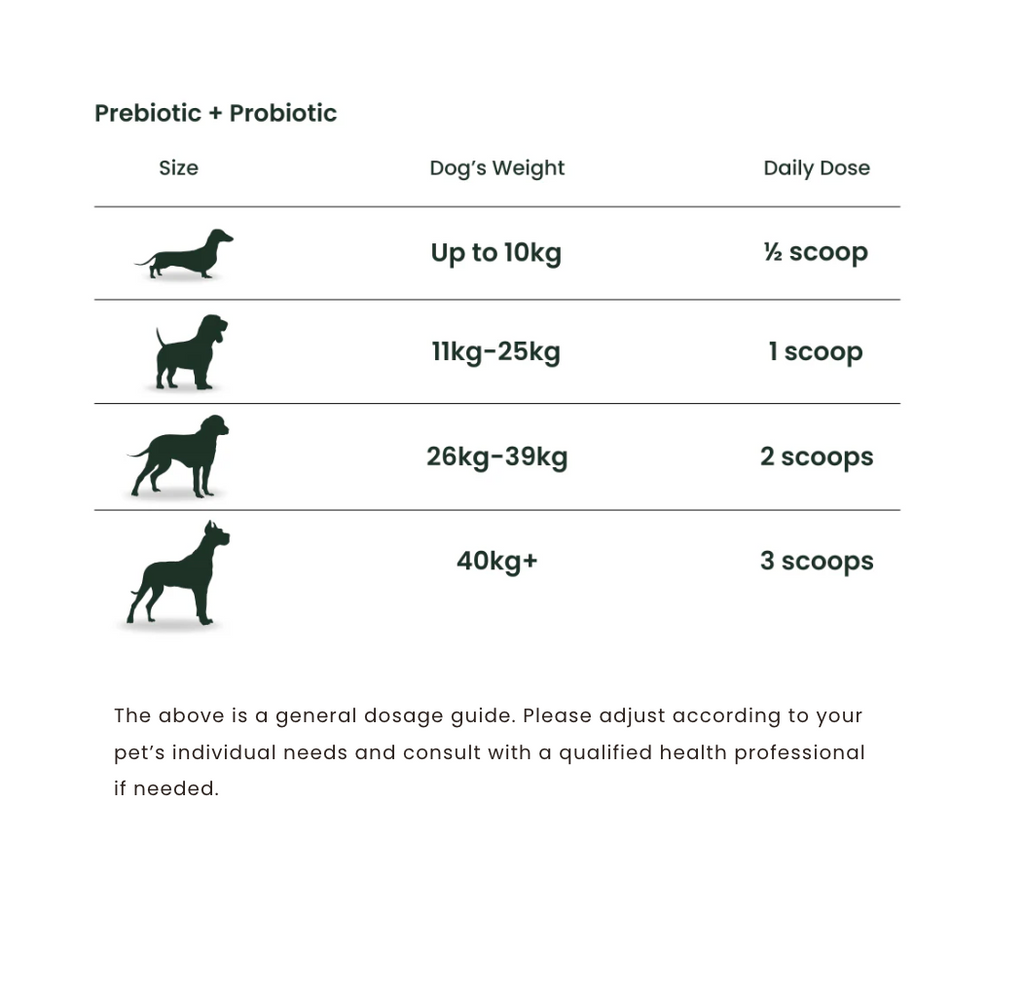 Pre & Probiotic Gut & Digestive Support - 60g