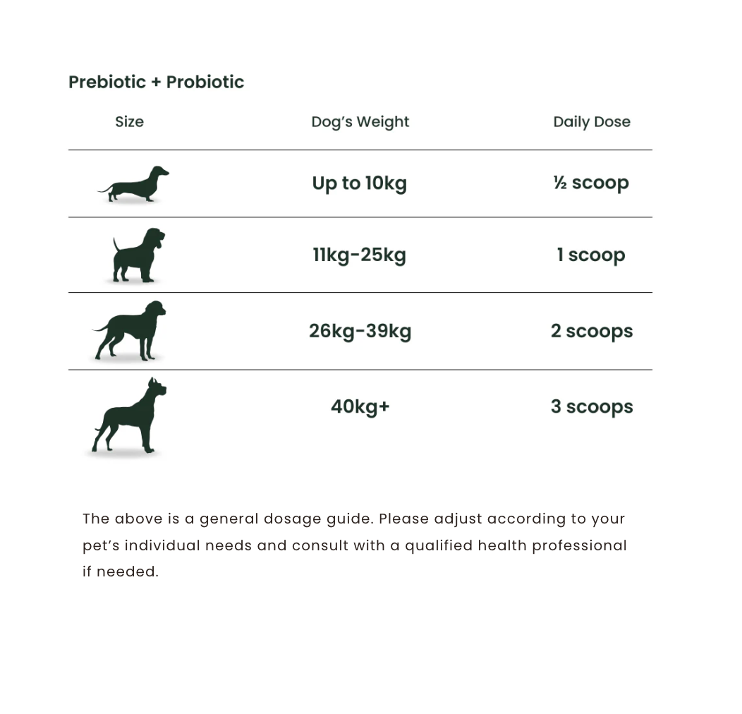 Pre & Probiotic Gut & Digestive Support - 60g