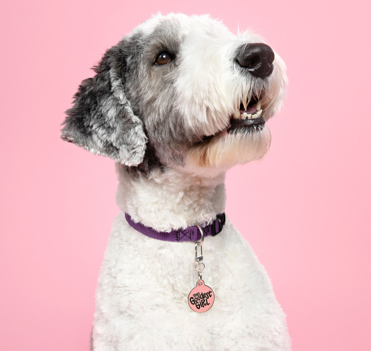 Goodest Girl - QR Code ID Tag