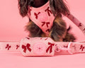 Pink bows poop bag holder with Pablo & Co branding