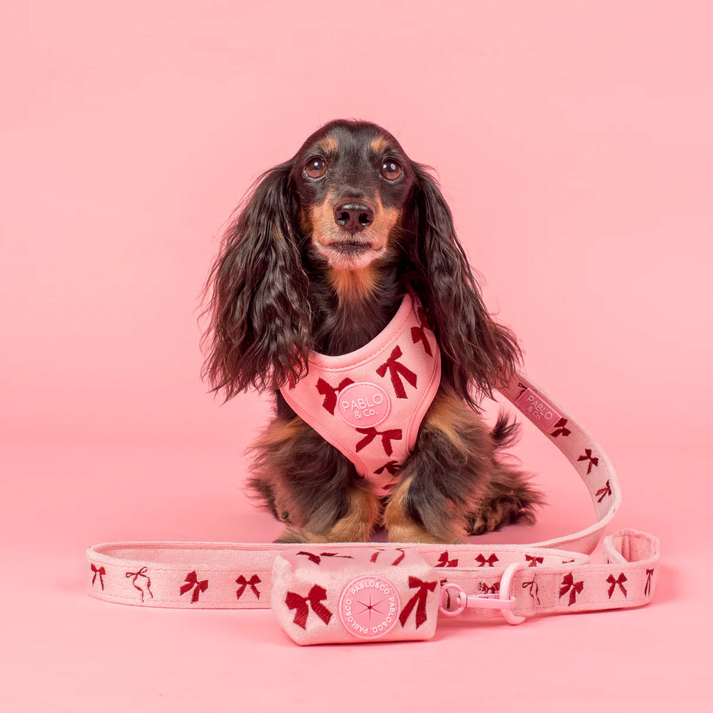 Velvet Blush Bows Poop Bag Holder