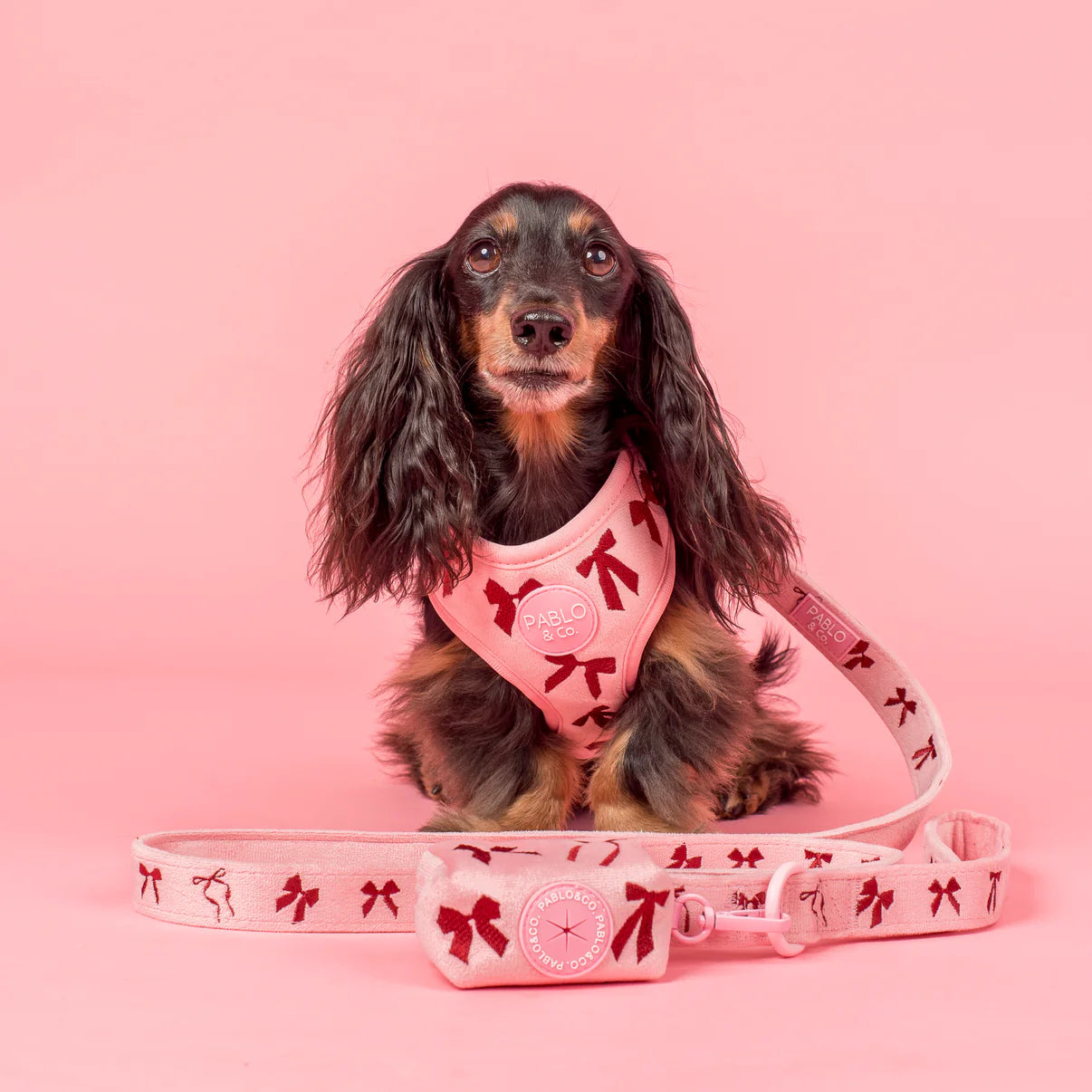 Velvet Blush Bows Poop Bag Holder