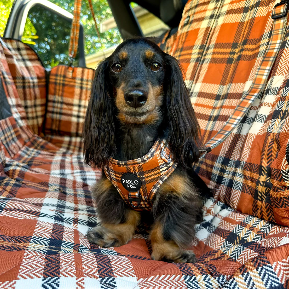 Vintage Plaid Adjustable Harness