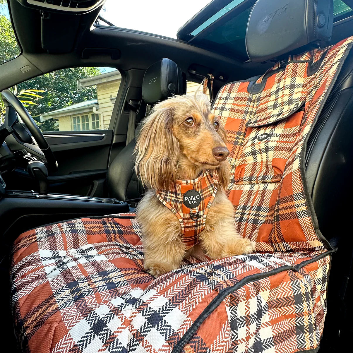Dog sitting on a plaid car seat cover in a car