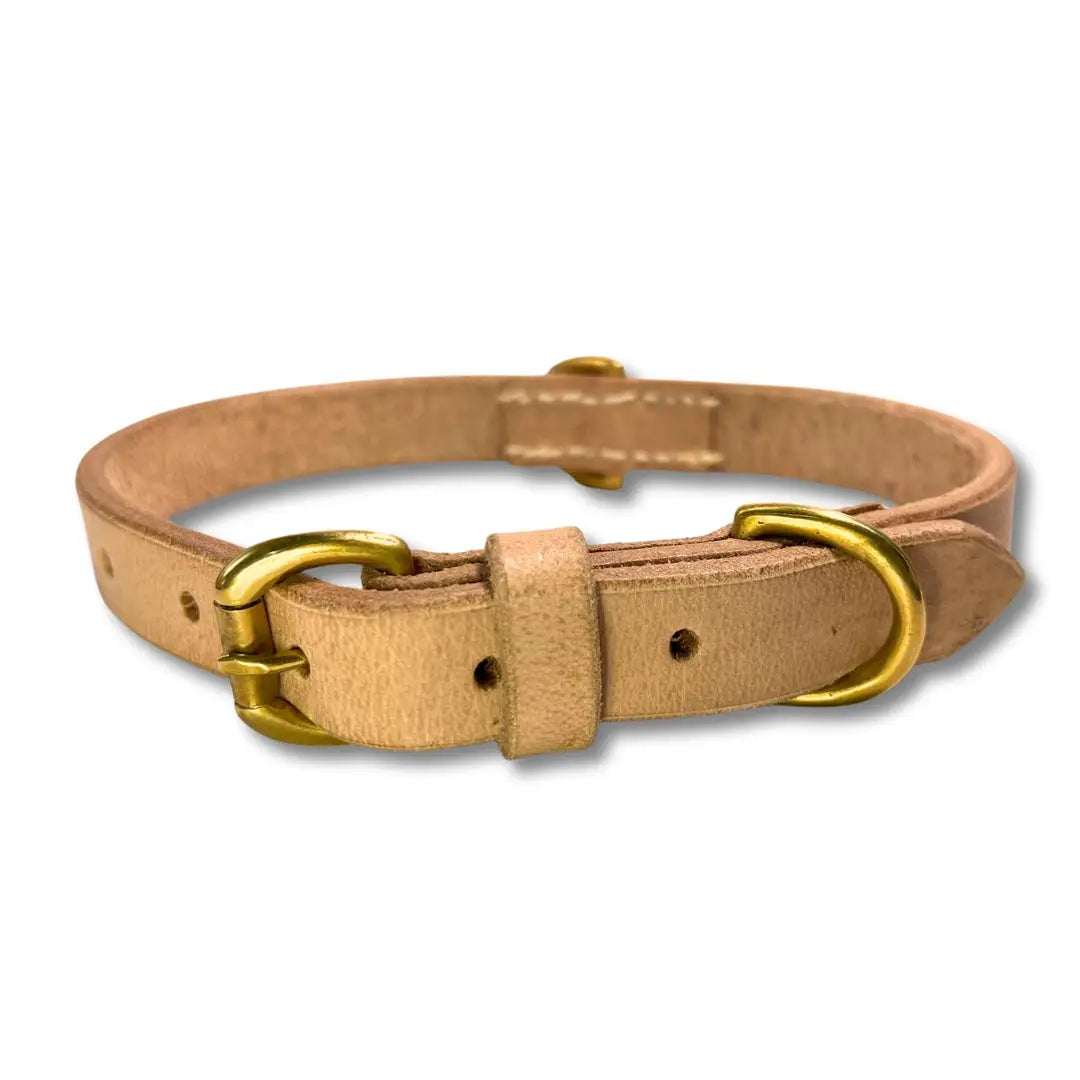 Beige dog collar with gold hardware on a white background