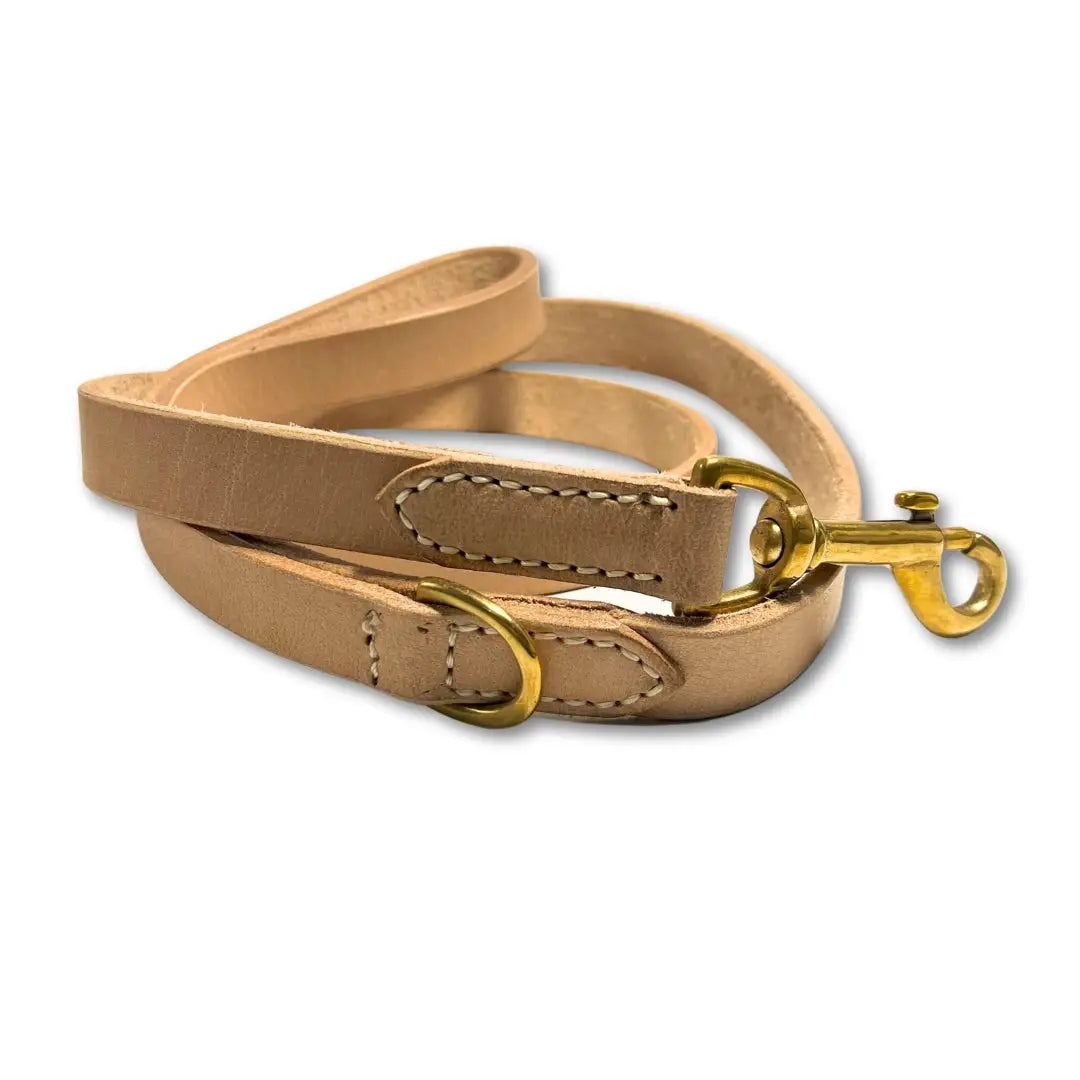 Beige leather dog leash with gold hardware on a white background