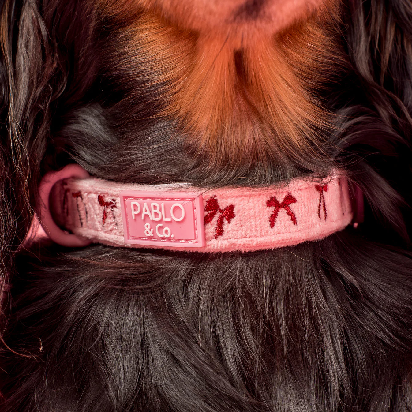 Dog wearing a pink collar with 'Pablo & Co' branding on a close-up of fur.