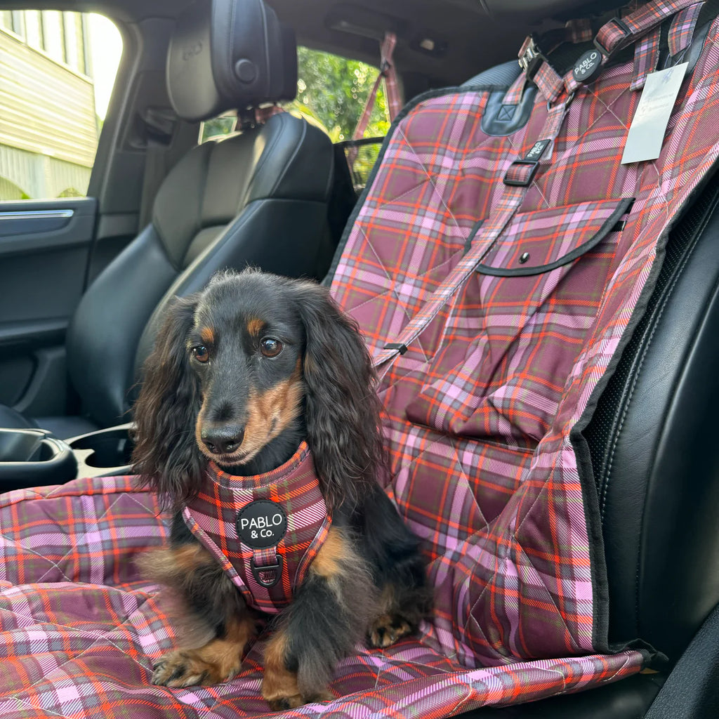Dog sitting on a plaid car seat cover in a vehicle
