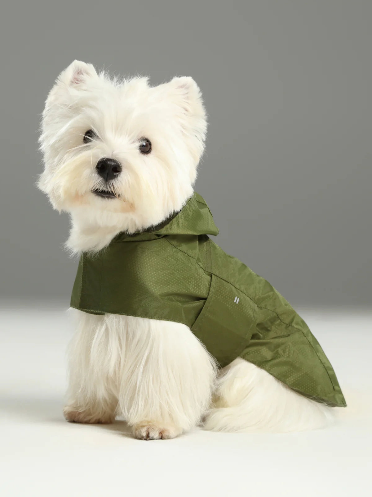 Green dog raincoat with hood