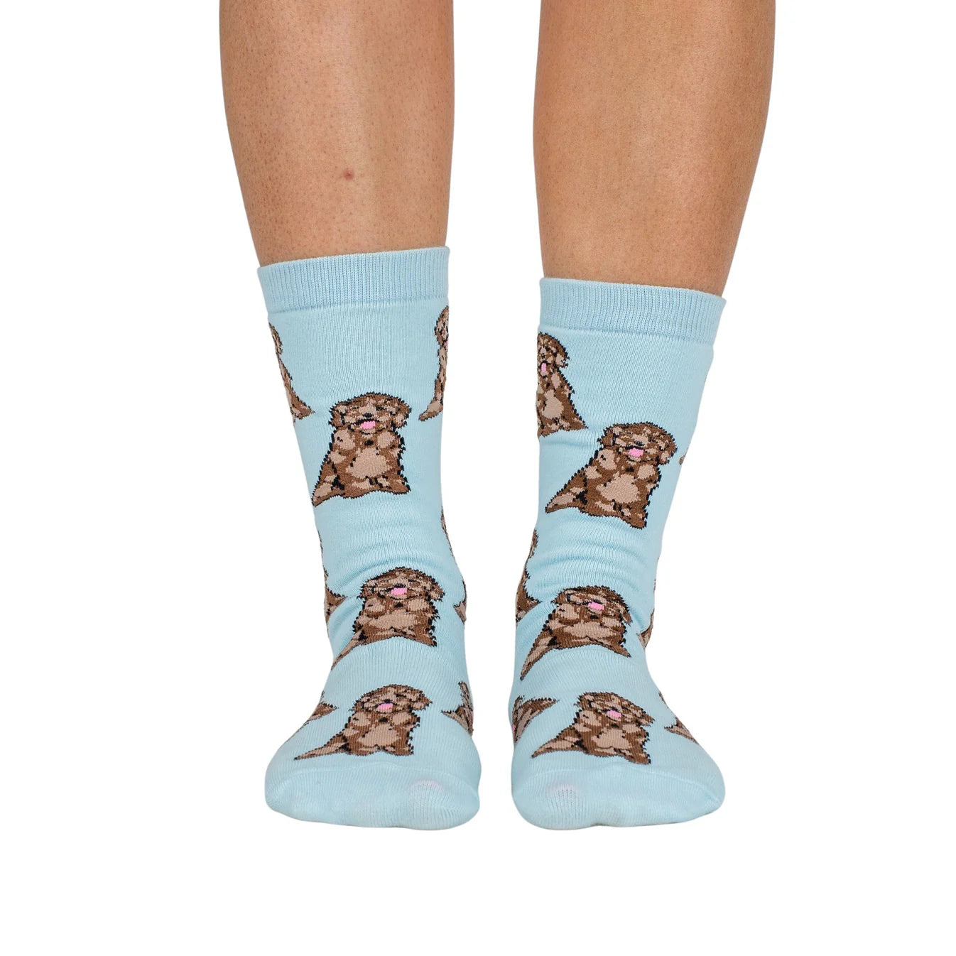 Dog Breed Socks - Cavoodle
