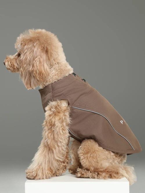 Dog wearing a brown vest