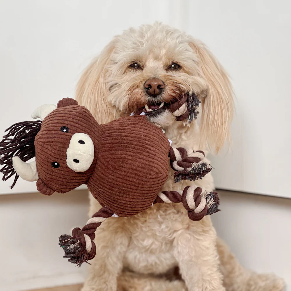 Harold the Highland Cow Toy