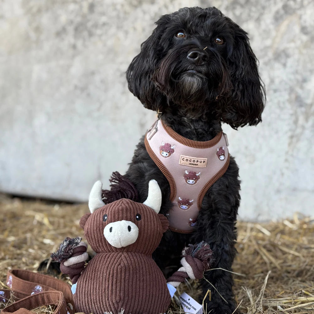Harold the Highland Cow Toy