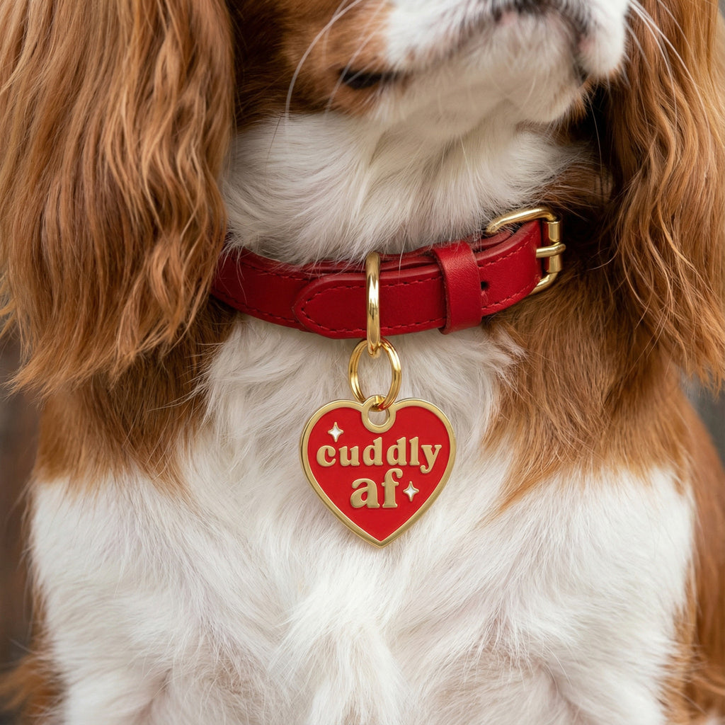 Cuddly AF Charm - QR Code ID Tag