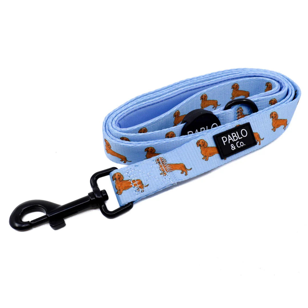 Dachsund Dog Leash