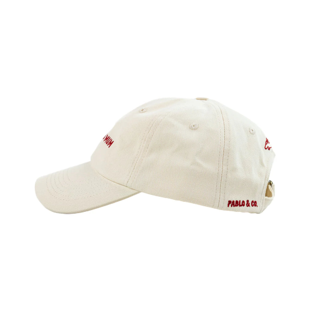 Dachshund Mum Baseball Cap