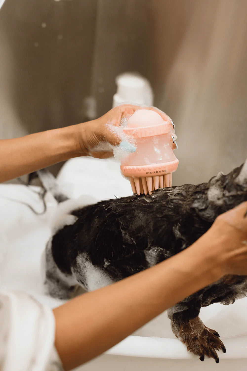 Deep Cleanse Shampoo Dispensing Brush
