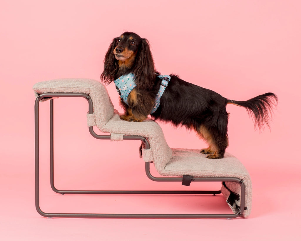 Grey Boucle Pet stairs