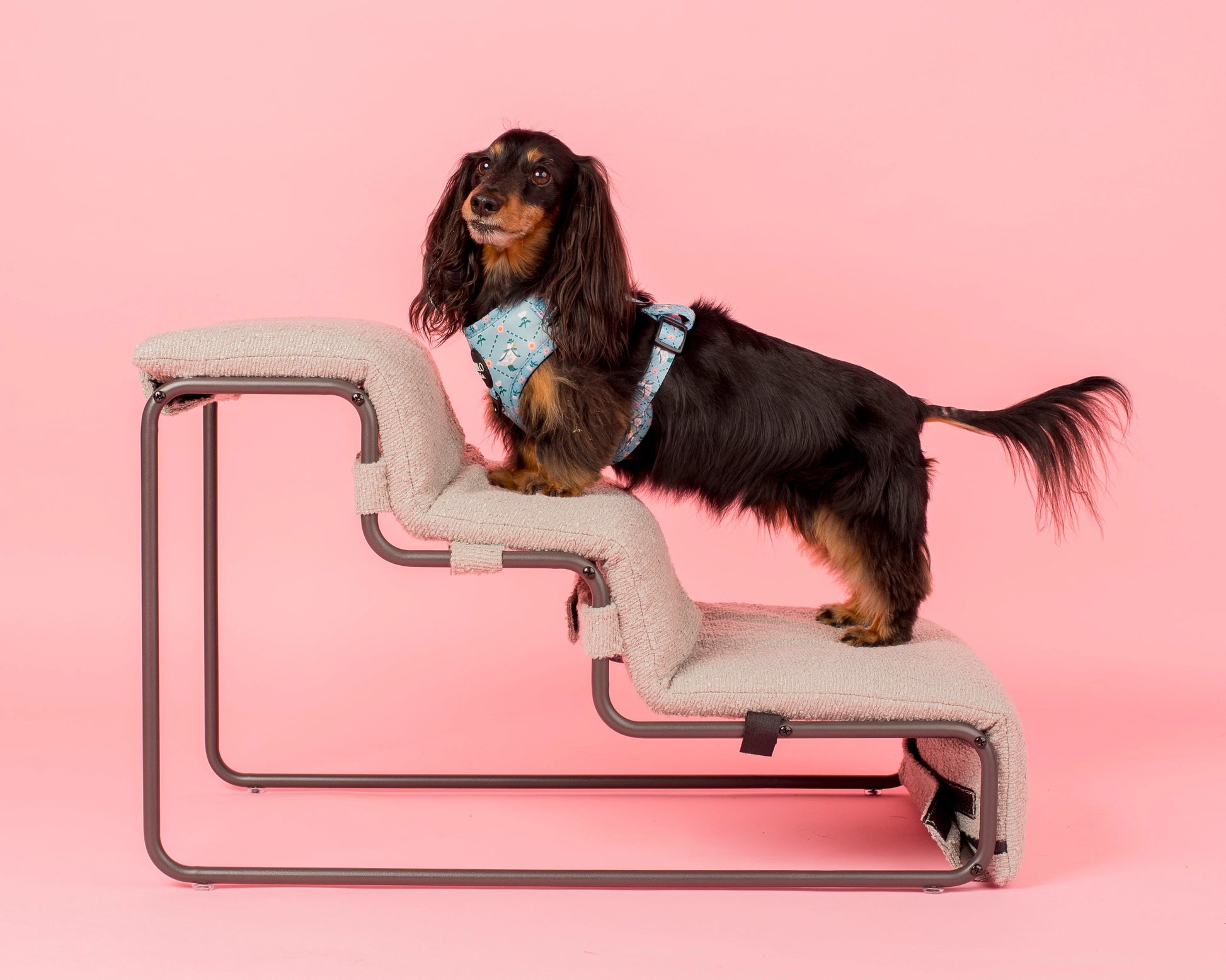 Grey Boucle Pet stairs