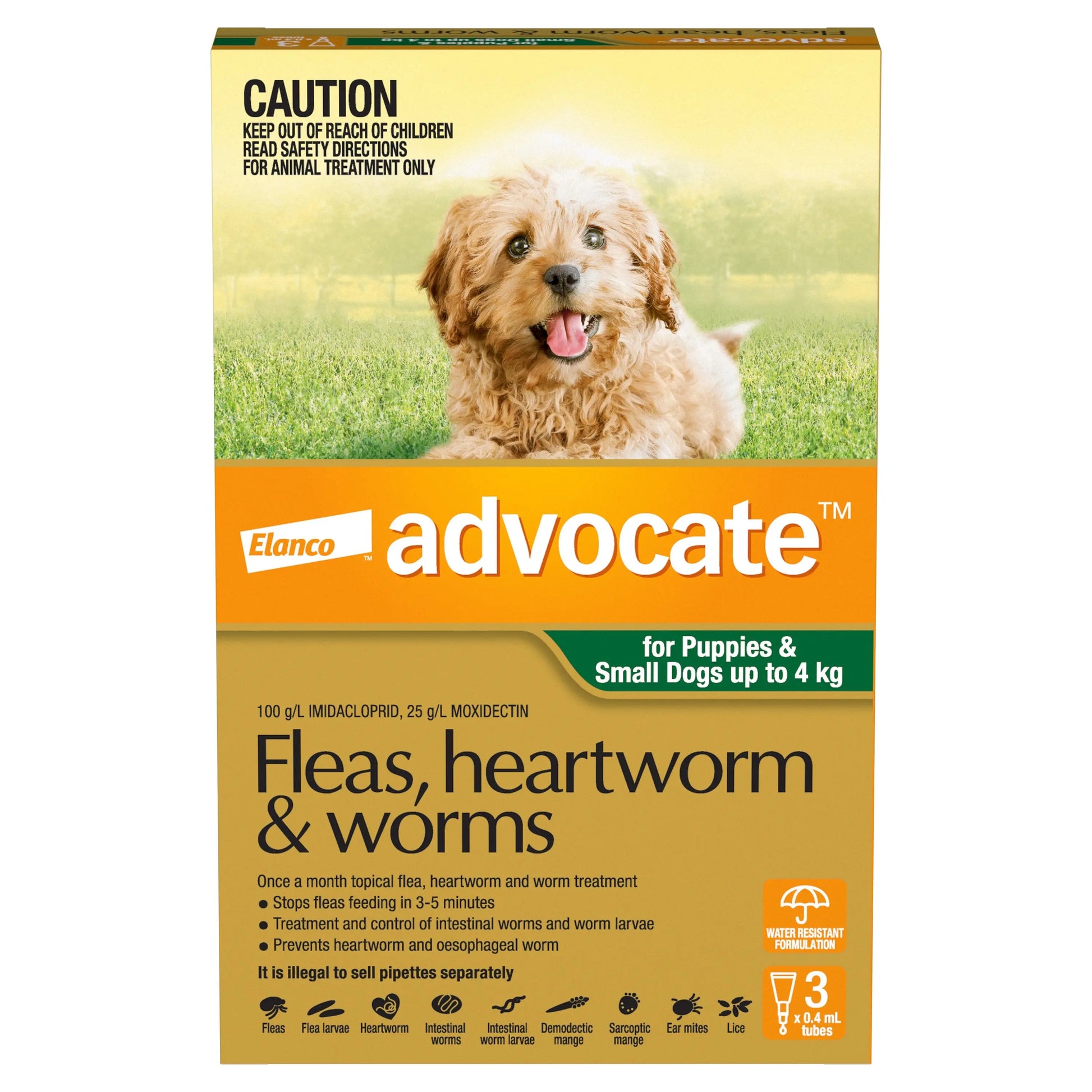 Flea & Worming Spot-On Treatment