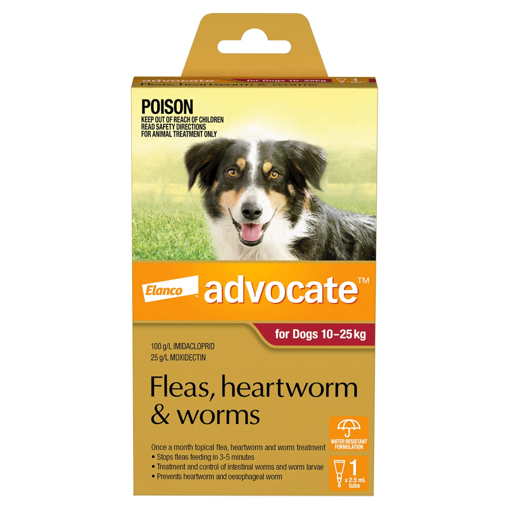 Flea & Worming Spot-On Treatment